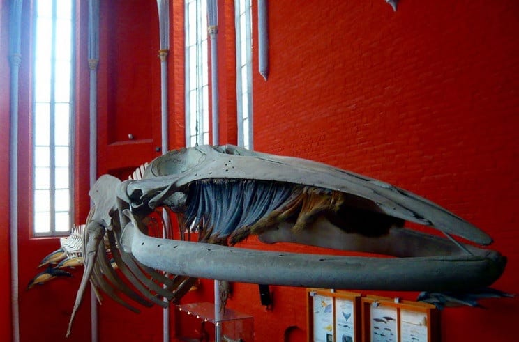 11 متحفًا للعلوم والتكنولوجيا يمكنك التجول داخلها افتراضيًا