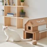 بجوائز 20000 دولار.. مسابقة سامسونج "Out of the Box" مثالية للحجر المنزلي