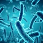 للماذا يكون حجم البكتيريا ثابتًا؟