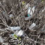 "كاوست" تشارك في بحث دولي حول النفايات البلاستيكية بالمحيطات