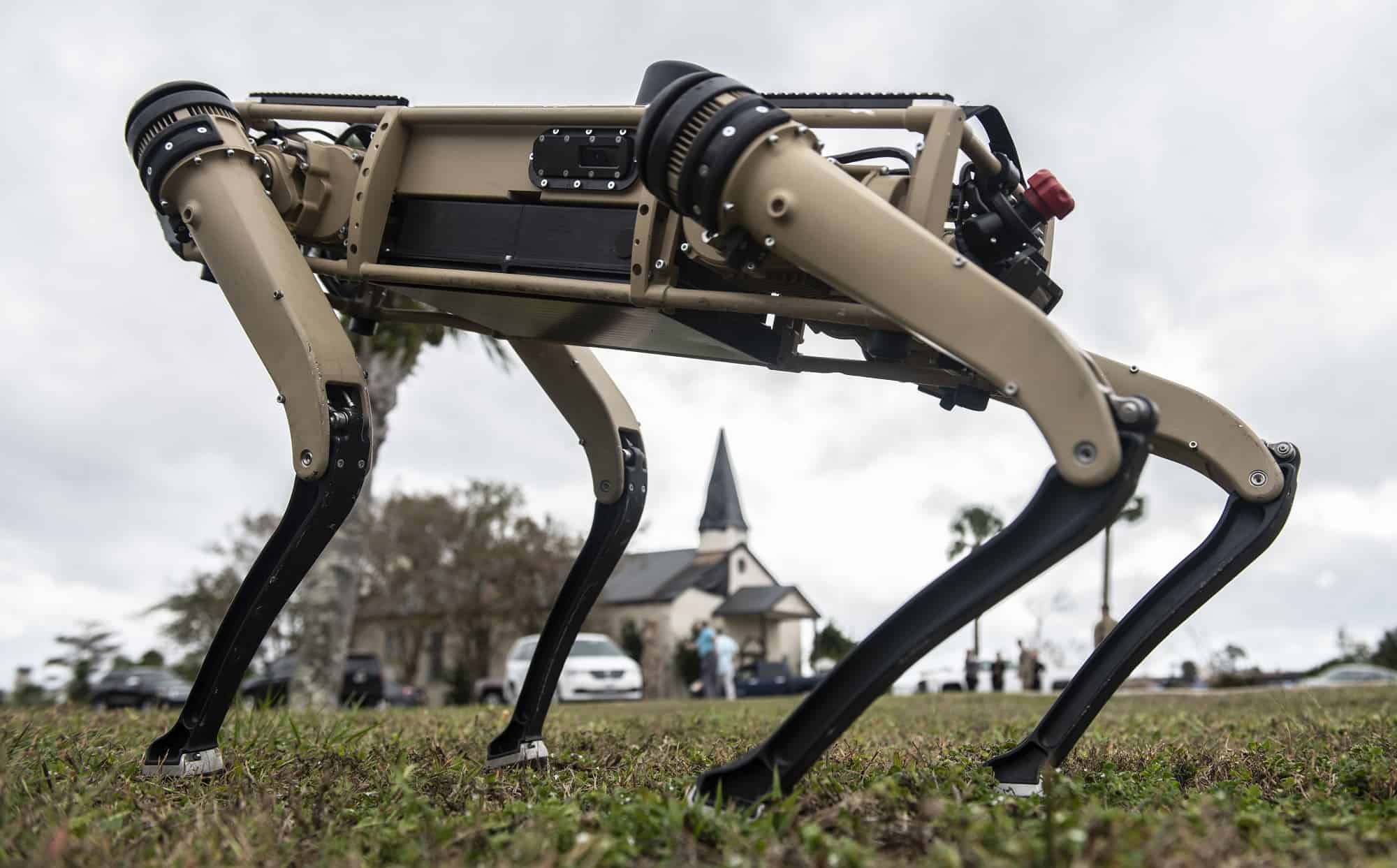 لأول مرة.. كلاب آلية تبدأ دوريات أمنية في قاعدة عسكرية أمريكية