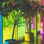 ألواح شمسية جديدة لا تحتاج إلى ضوء الشمس لإنتاج الطاقة