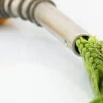 علماء يحولون النباتات إلى وقود حيوي بأسلوب جديد وموفر