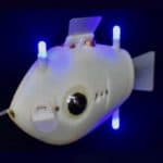 علماء يبتكرون سربًا من الروبوتات المتزامنة تشبه الأسماك لحماية البيئة