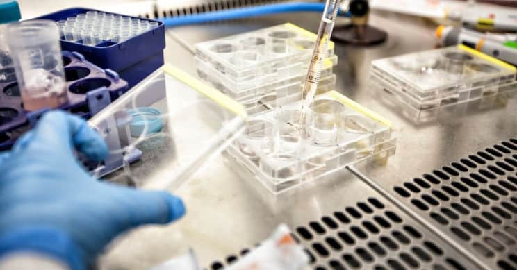 لقاح جديد يُبقي الخلايا السرطانية تحت السيطرة بعد أربع سنوات من العلاج