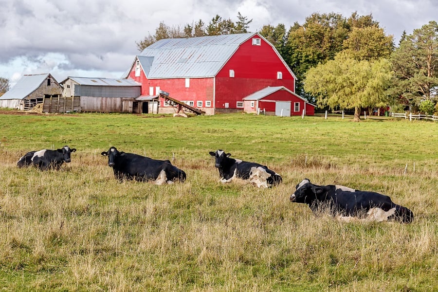 "مزرعة أوتاوا الذكية".. نموذج يجب أن يحتذي به