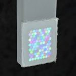 كيف ترى الأسماك العالم؟