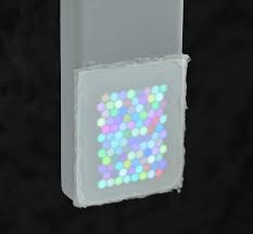 كيف ترى الأسماك العالم؟