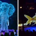 سيرك رونكالي