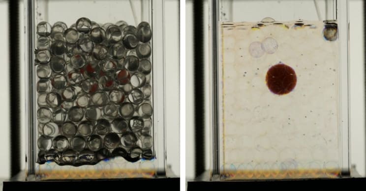 "تربة الهيدروجيل النقية" يمكن أن تكون مستقبل المحاصيل المقاومة للجفاف