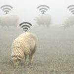 Optiweigh.. نظام آلي يقيس وزن الماشية عن بُعد