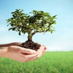 "أبل" تقوم باستثمار ضخم بمبادرة لإزالة الانبعاثات الكربونية وزراعة ملايين الأشجار الجديدة حول العالم