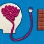 علماء يكشفون "مفتاح" الجوع في الدماغ