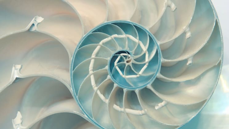 ابتكار تقنية جديدة لإزالة تمتص ثاني أكسيد الكربون من مياه البحر مثل الصدف