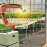 الروبوتات تعزز التكنولوجيا الزراعية في أكبر مزرعة عمودية بالإمارات