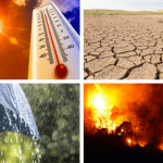 تعرف على أهم النقاط الواردة بتقرير الهيئة الحكومية الدولية المعنية بتغير المناخ (IPCC)