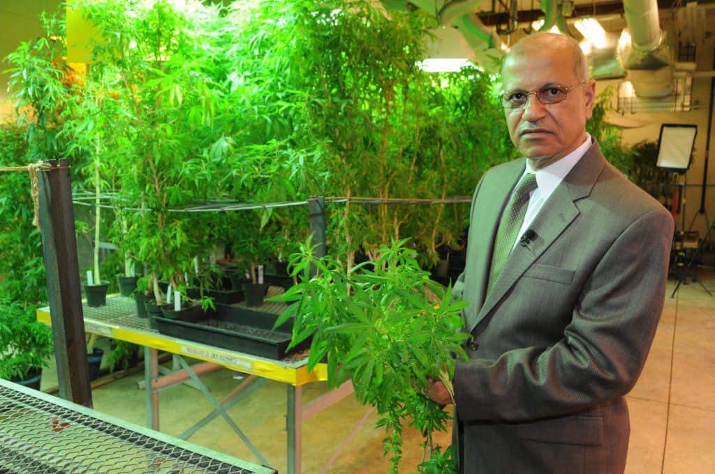 محمود السحلي