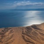 مبادرات المملكة ترسم خارطة لحماية البيئة محلياً ودولياً