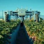 للتخلص من أضرار مبيدات الأعشاب.. شركة أمريكية تستخدم الروبوتات بدلًا من مبيدات الأعشاب