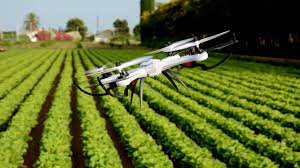فوائد تكنولوجيا الطائرات بدون طيار في مجال الزراعة