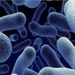 لأول مرة.. اكتشاف بكتيريا فريدة من نوعها تحول النفط لغاز طبيعى فى الصين