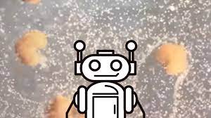 علماء ينجحون في إنتاج أول روبوتات حية قادرة على التكاثر