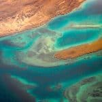 كيف تسهم أدوات علم البيئة الجزيئي في حماية الموارد البحرية السعودية؟