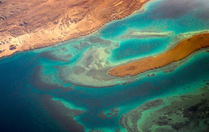 كيف تسهم أدوات علم البيئة الجزيئي في حماية الموارد البحرية السعودية؟