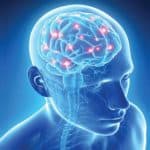 باحثو كاوست يطورون نموذجاً للتعرّف على حالات الدماغ غير الطبيعية