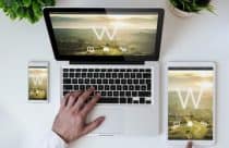 joomla wordpress