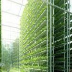 شركة Living Greens Farm تعلن عن توسع كبير مع إضافة منشأة زراعة عمودية في الغرب الأوسط مع الولايات المتحدة