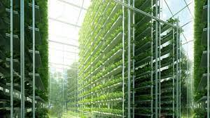 شركة Living Greens Farm تعلن عن توسع كبير مع إضافة منشأة زراعة عمودية في الغرب الأوسط مع الولايات المتحدة