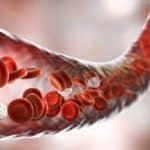 العثور على جزيئات بلاستيكية في مجرى الدم البشري