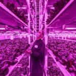 شركة Ensora Systems تقدم مستوي مراقبة بيئي دقيق لإنجاح عمليات الزراعة في الأماكن المغلقة