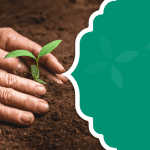 تدشين ملكي لحملة "إحسان" الخيرية في نسختها الثانية