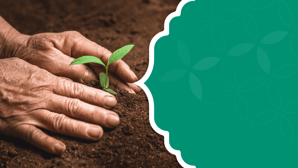 تدشين ملكي لحملة "إحسان" الخيرية في نسختها الثانية