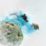 شركة البحر الأحمر تكشف عن أضخم مشروع بحثي على سواحل العالم بعد دراسة امتدت لـ11 شهراً