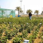 جامعة الملك عبدالله للعلوم والتقنية تفتتح أول منشأة من نوعها لإعادة تدوير النفايات في المملكة