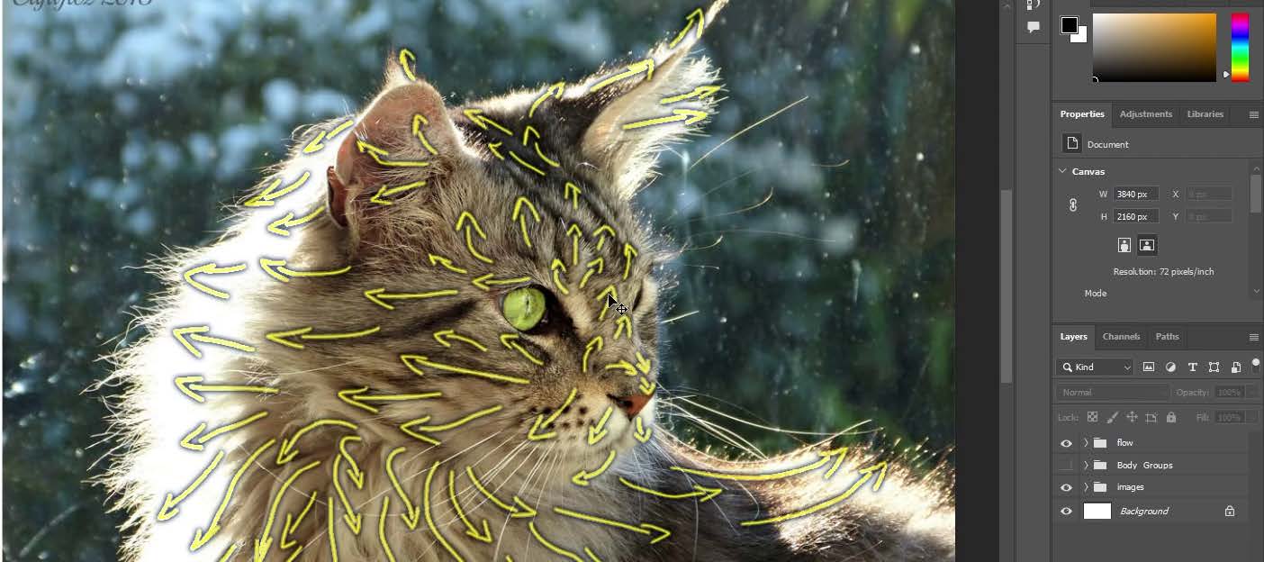 أفضل 5 برامج في الرسوم المتحركة CGI