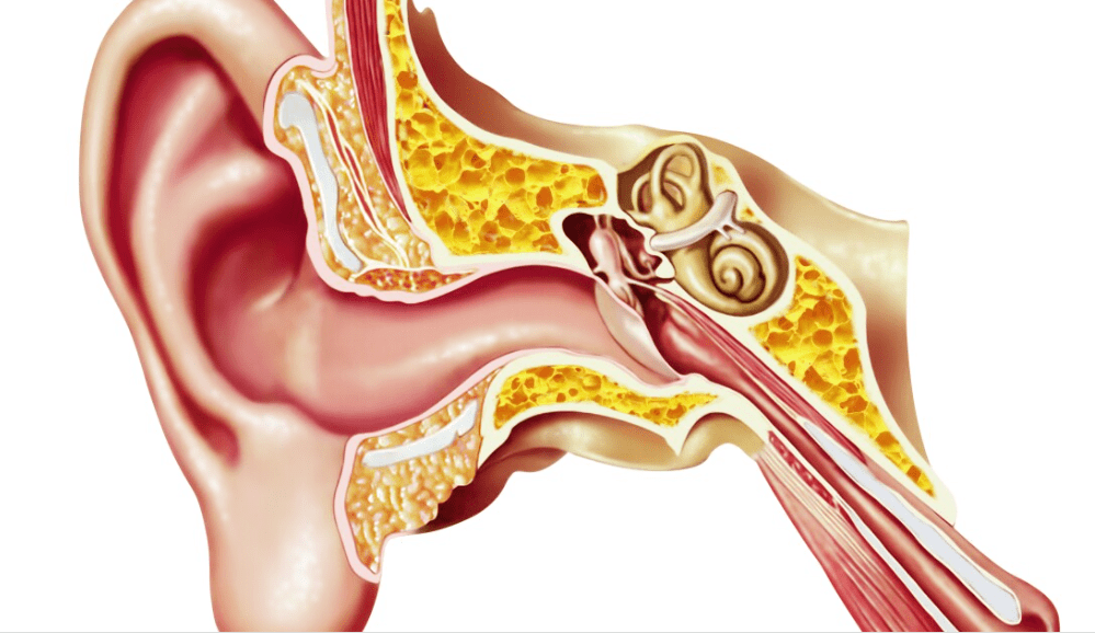 ابتكار سماعات ذكية تشخص 3 حالات شائعة للأذن