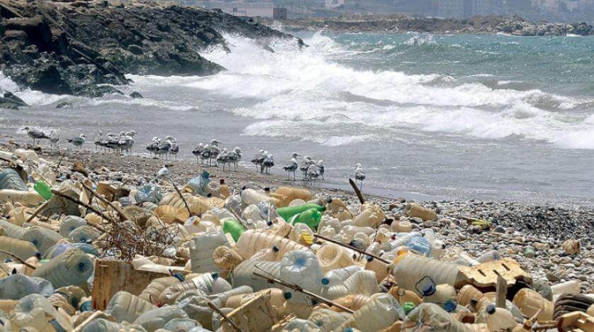 دراسة تكشف عن مصادر حطام البلاستيك الصلب الجاف فى المحيط الهادئ