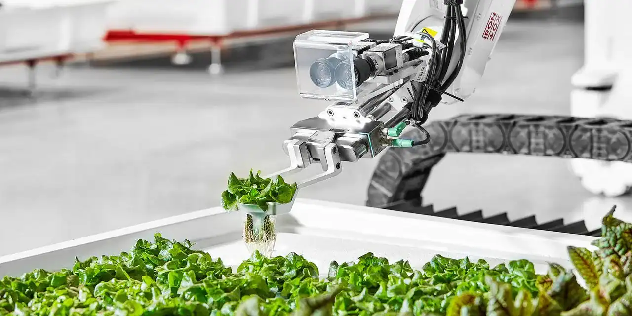 تقنية تضمن جودة طعامنا