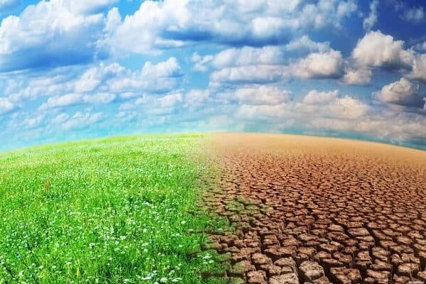 تأثير أزمة المناخ على الزراعة والتنوع البيولوجي