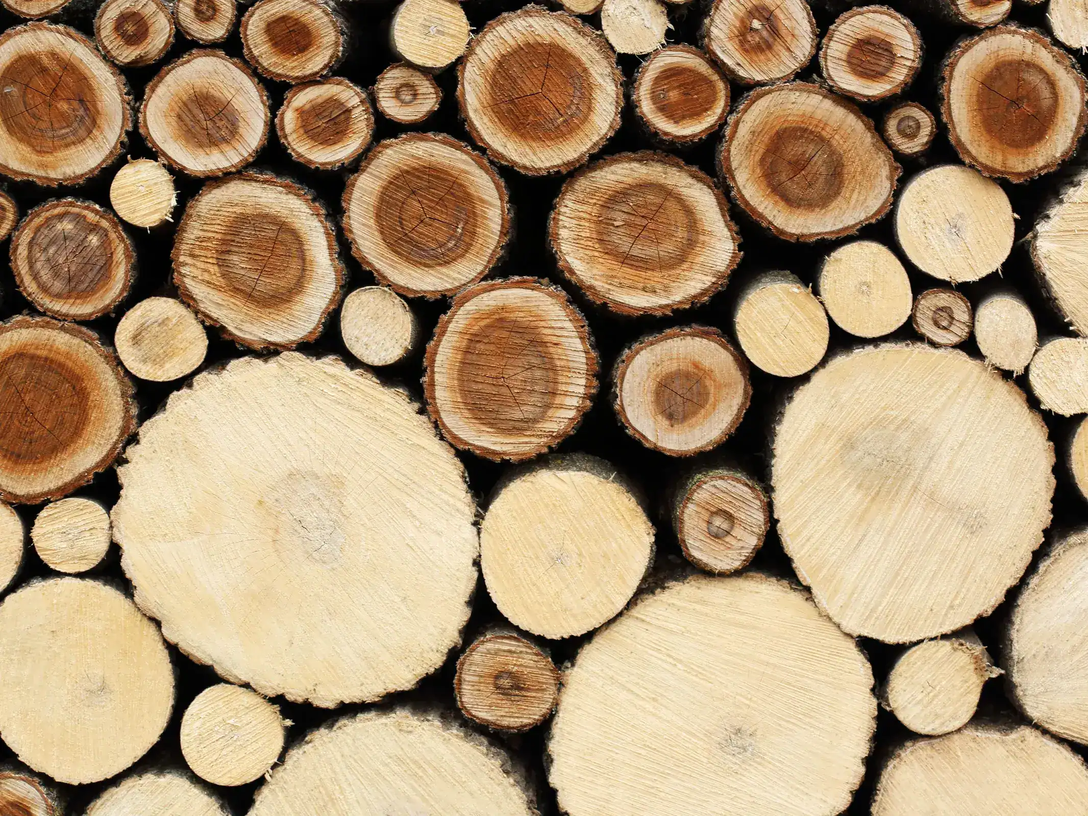 الطباعة ثلاثية الأبعاد تزيل فكرة قطع الأشجار لصناعة الأخشاب