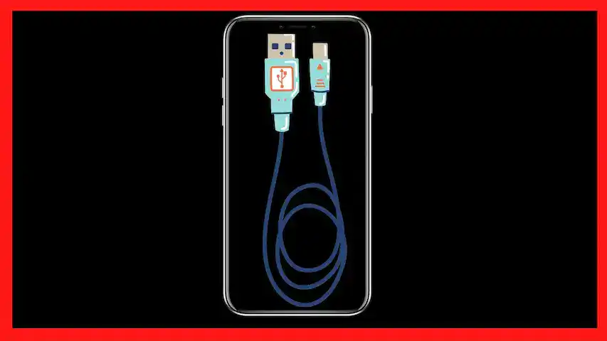 بعد قرار الاتحاد الأوروبي.. الهند تفرض على ابل استخدام منافذ USB-C