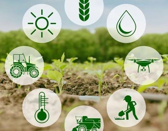 ما هي مفاتيح التنمية الزراعية في المستقبل؟