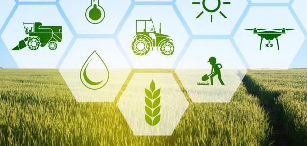 أفضل الحلول الزراعية المبتكرة
