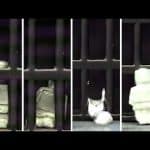 تطوير روبوتات جديدة تملك مقدرة تغيير أشكالها من الصلب للسائل