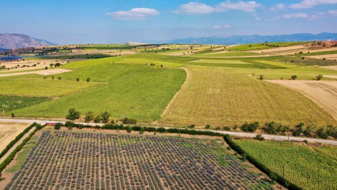 كيف سيحد إعادة توطين الأراضي الزراعية من أزمة تغير المناخ؟