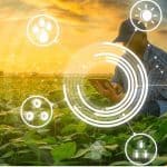 الزراعة الذكية وحلول إنترنت الأشياء